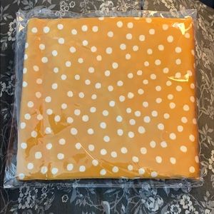 Cleobella X Silky Scarf